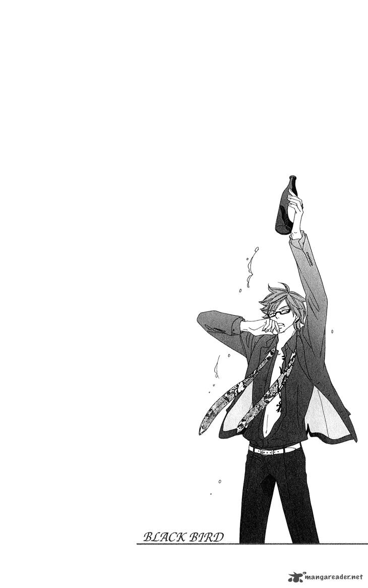 Black Bird 49 2