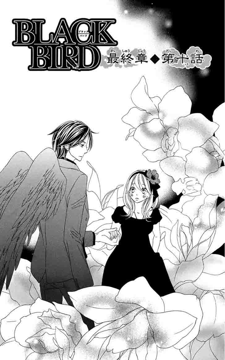 Black Bird 63 1