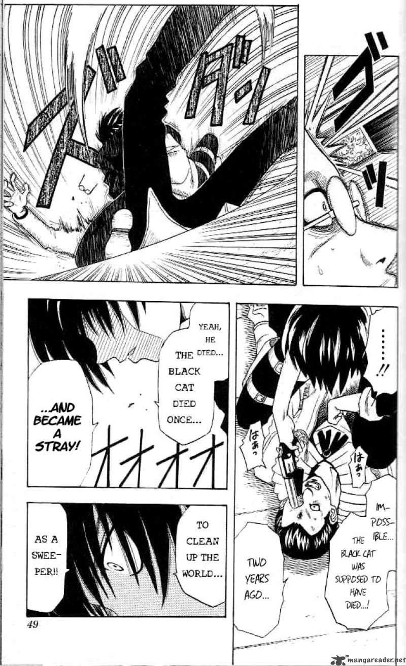 Black Cat 1 44