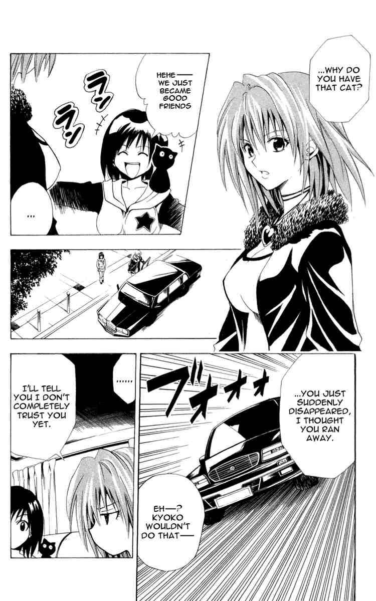 Black Cat 105 8