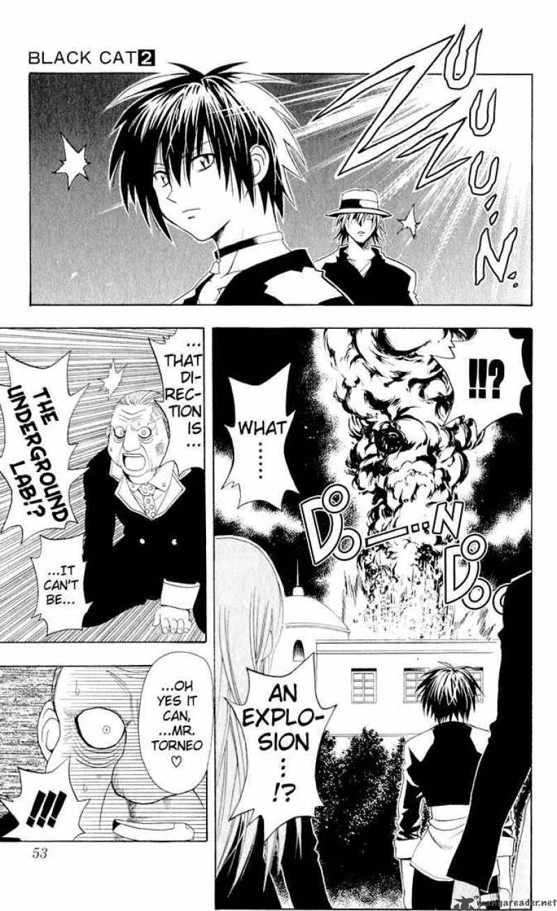 Black Cat 11 8