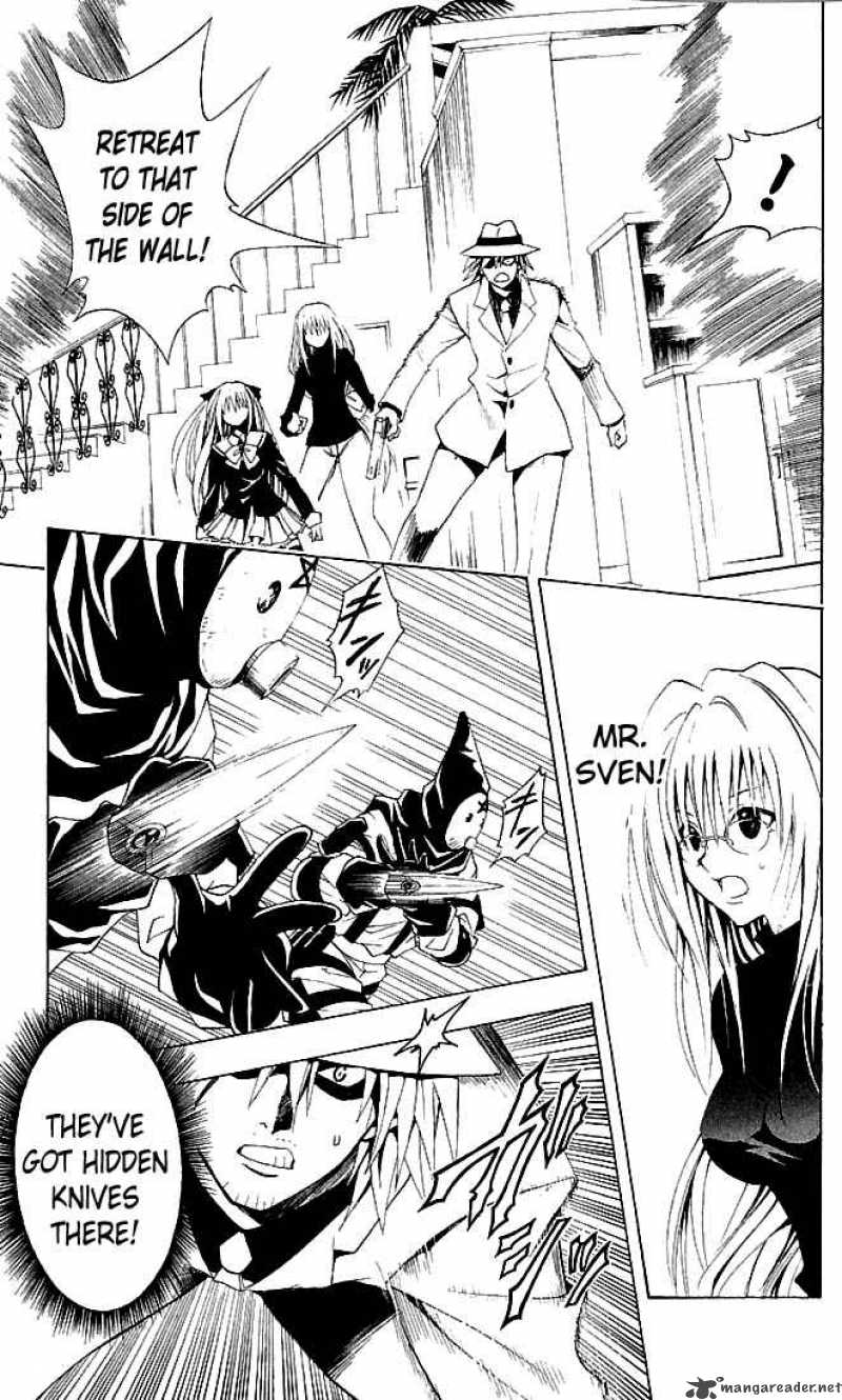 Black Cat 110 5