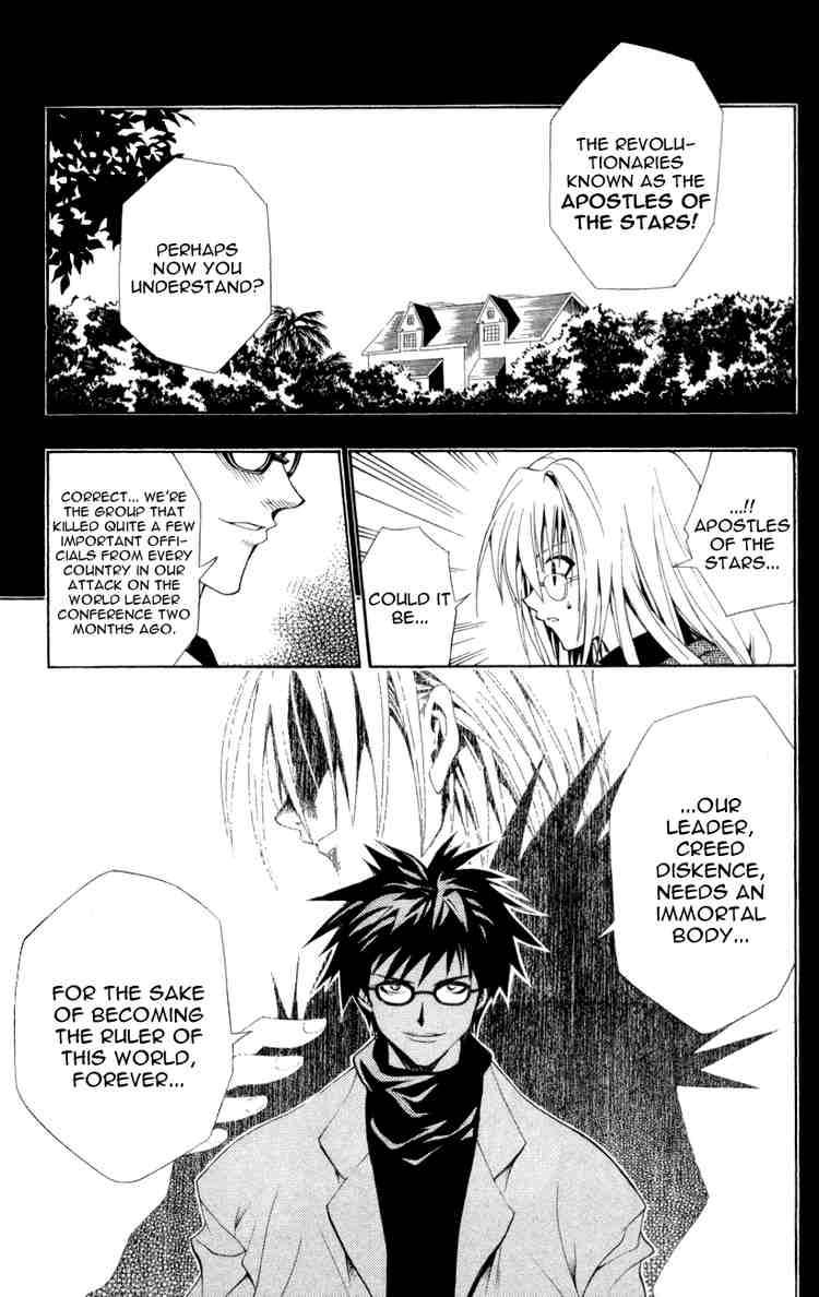 Black Cat 113 5