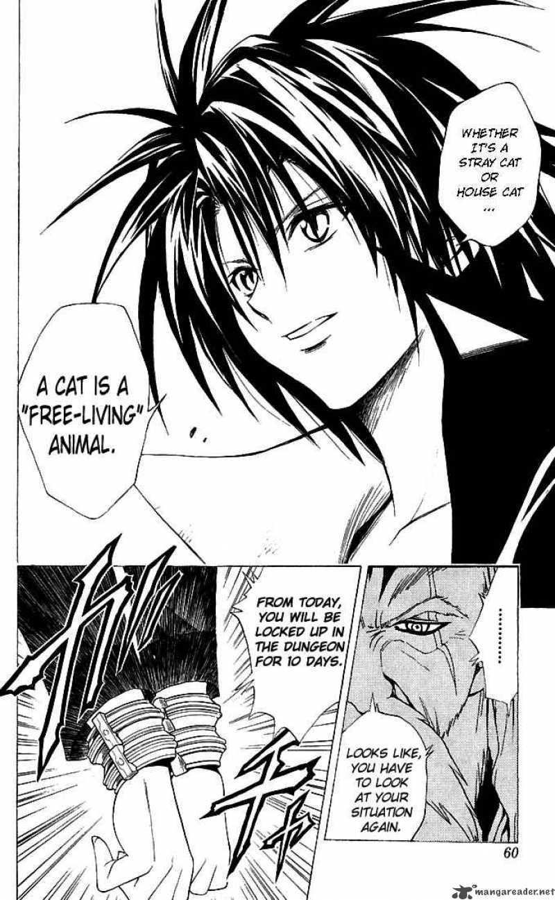 Black Cat 116 12
