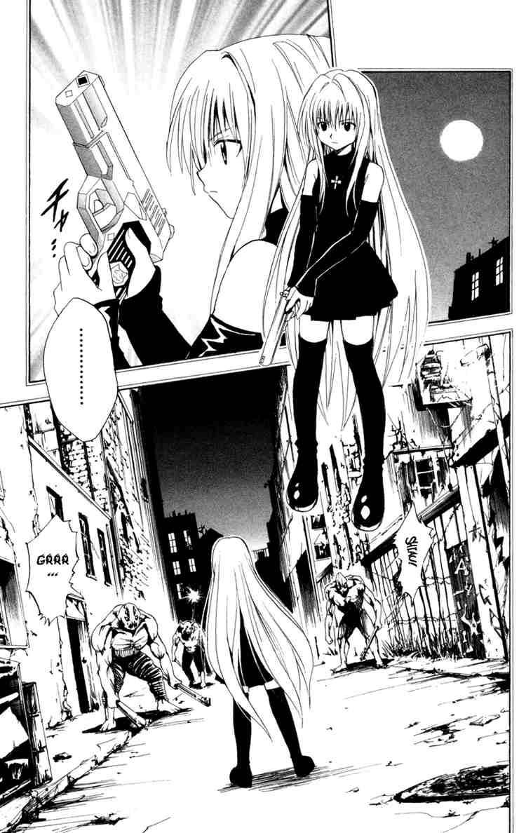Black Cat 126 13