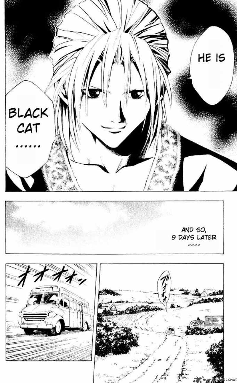 Black Cat 128 14