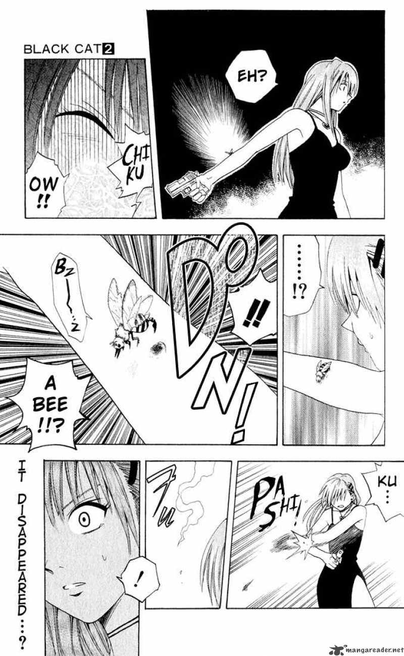 Black Cat 14 16