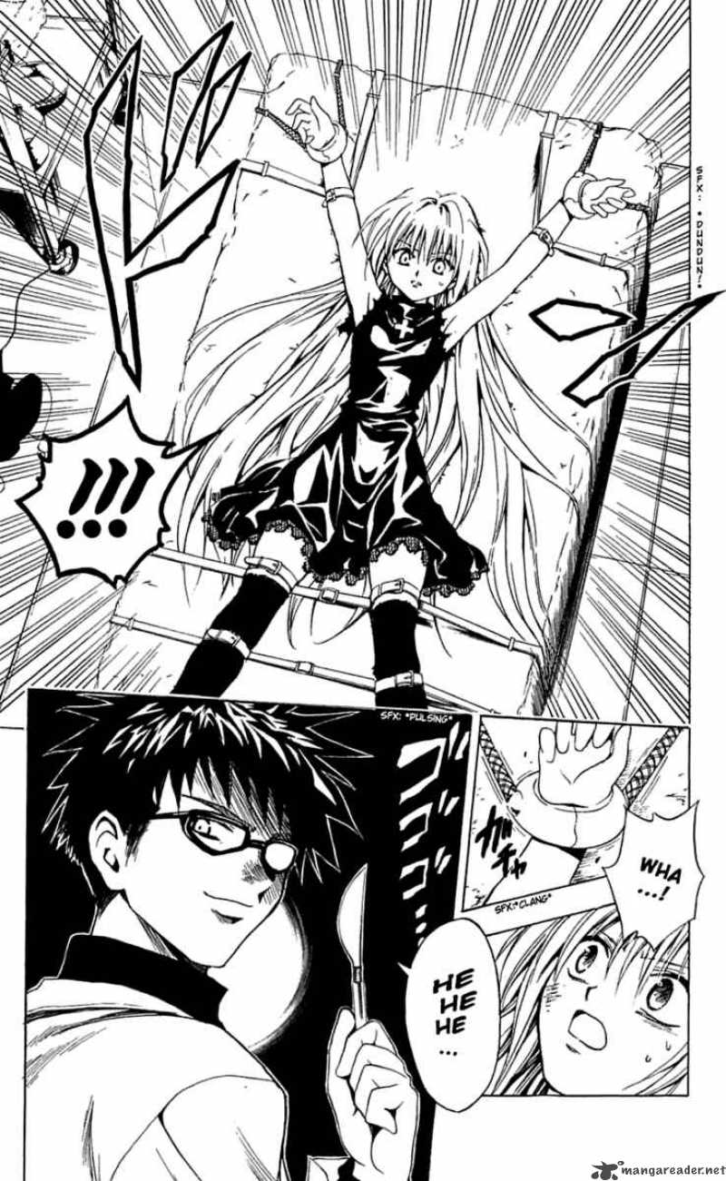 Black Cat 161 18