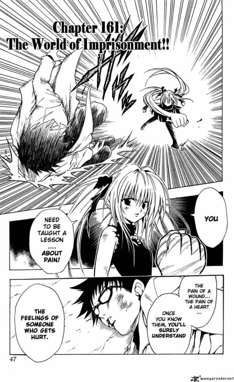 Black Cat 161 2