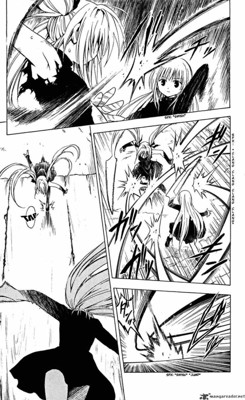 Black Cat 161 8