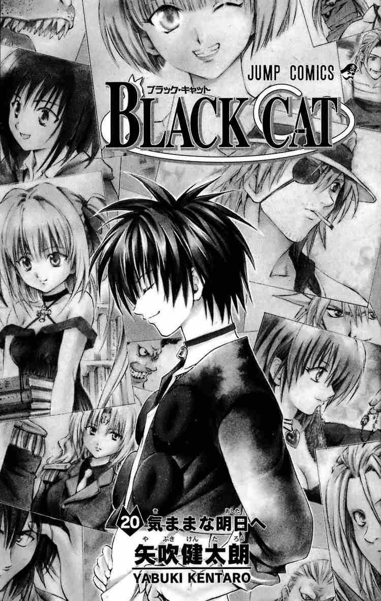 Black Cat 176 1