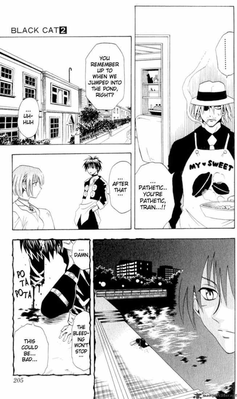 Black Cat 18 9