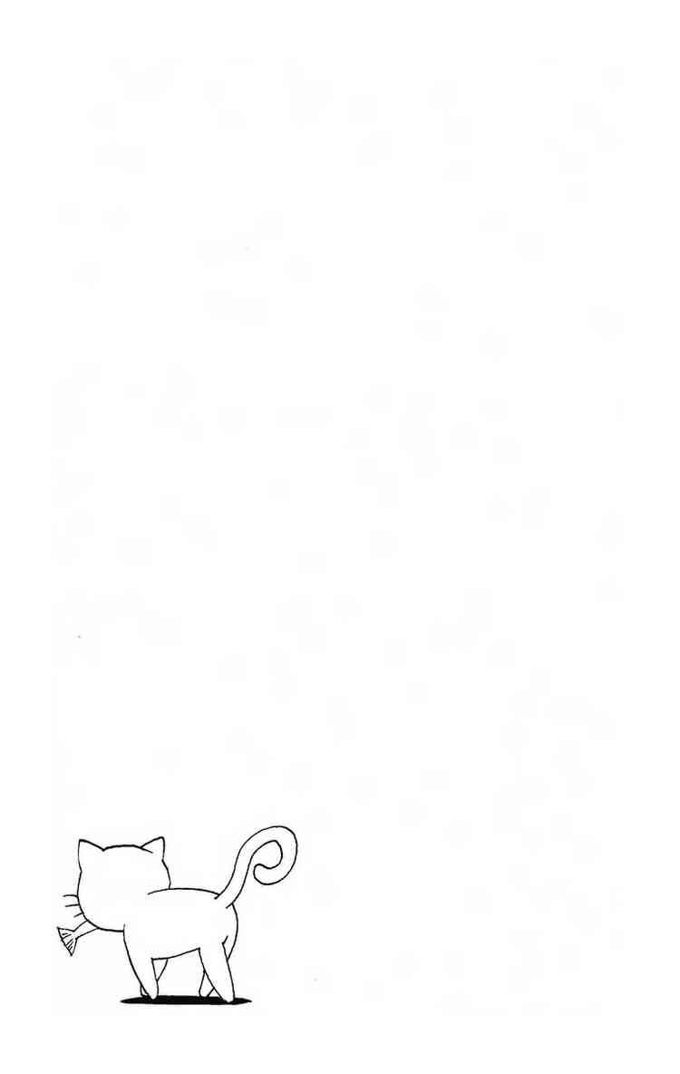 Black Cat 185 27