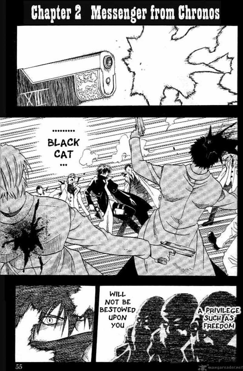 Black Cat 2 2