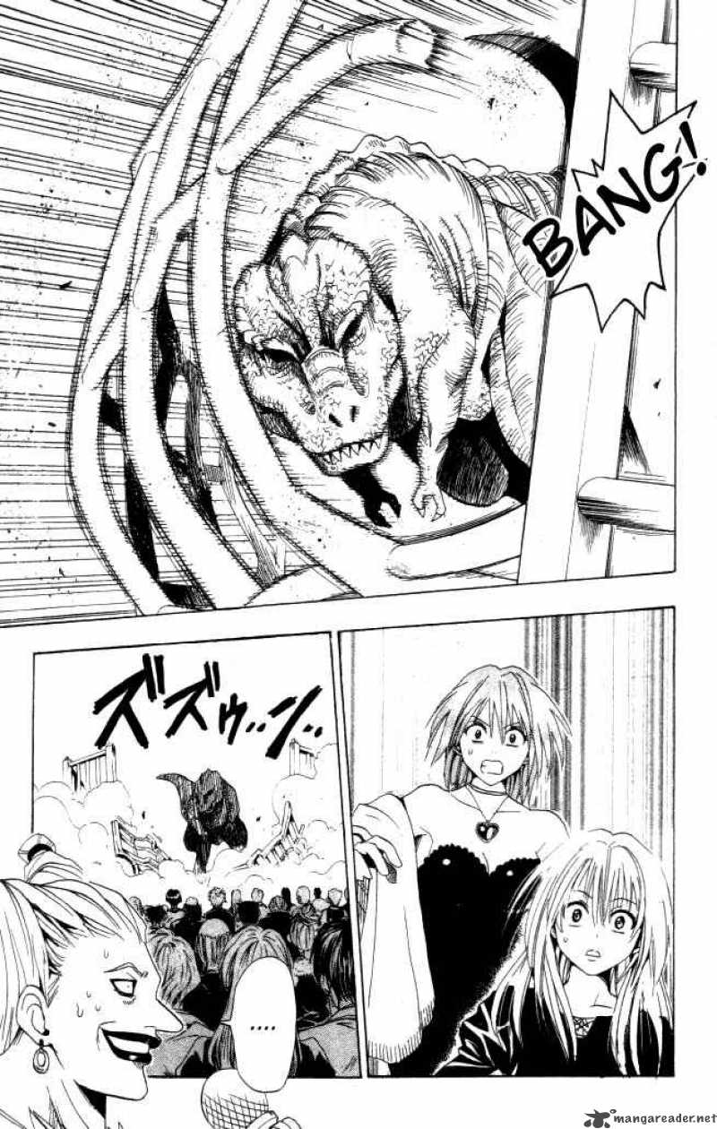 Black Cat 34 15