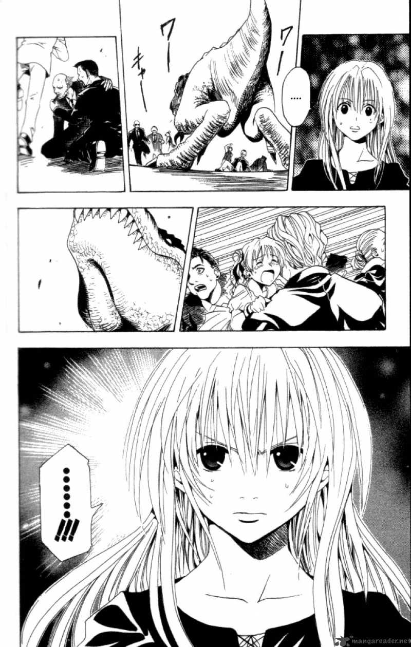 Black Cat 34 18