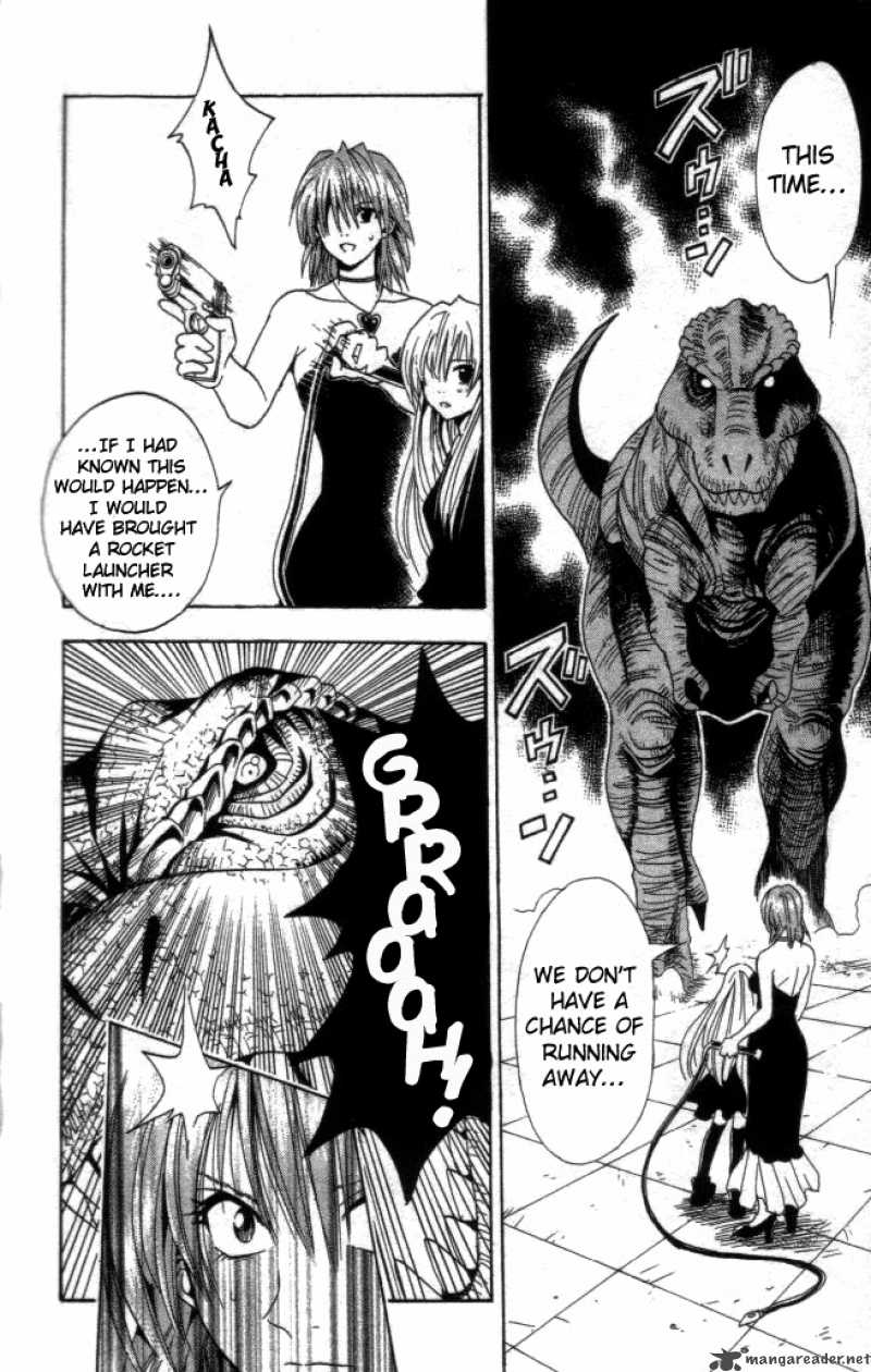 Black Cat 35 14
