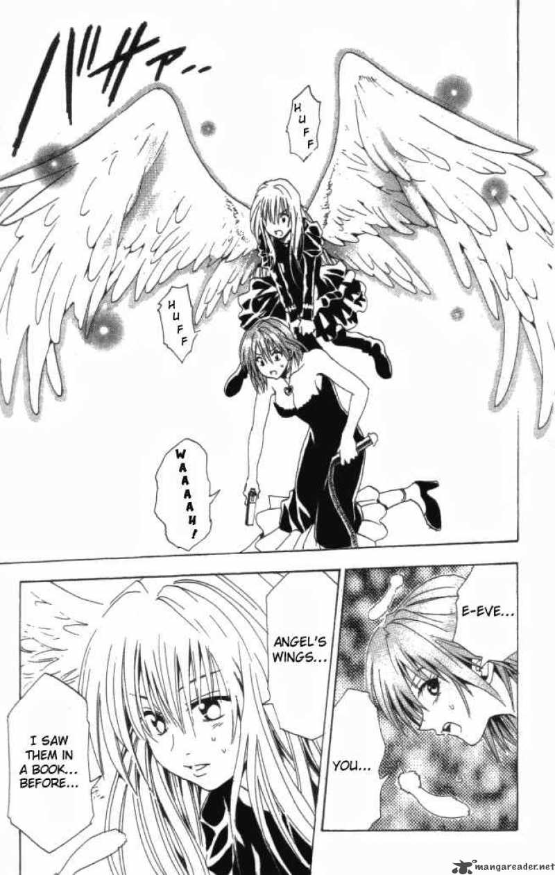 Black Cat 35 19