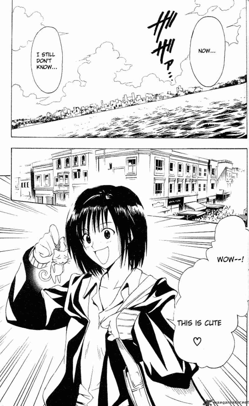 Black Cat 56 12