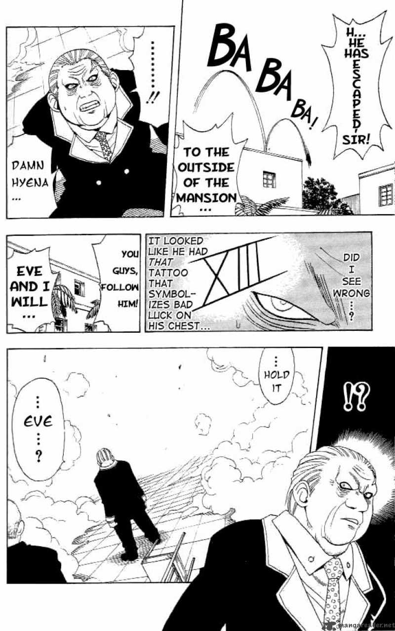 Black Cat 6 8