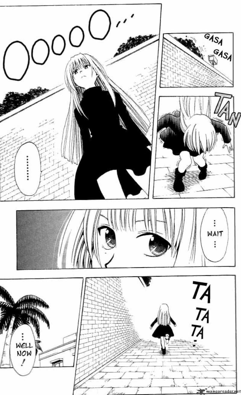 Black Cat 6 9