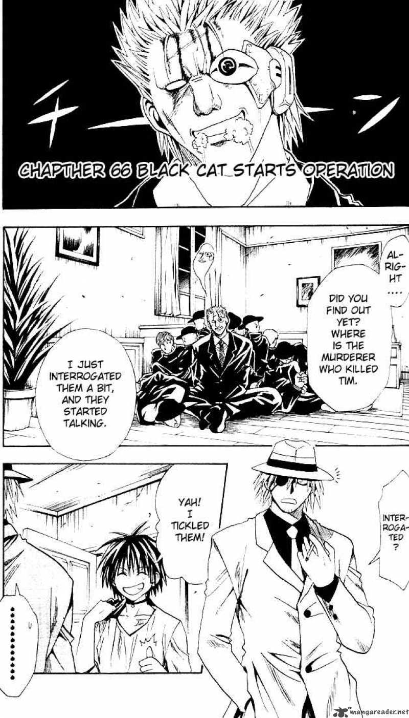 Black Cat 66 1