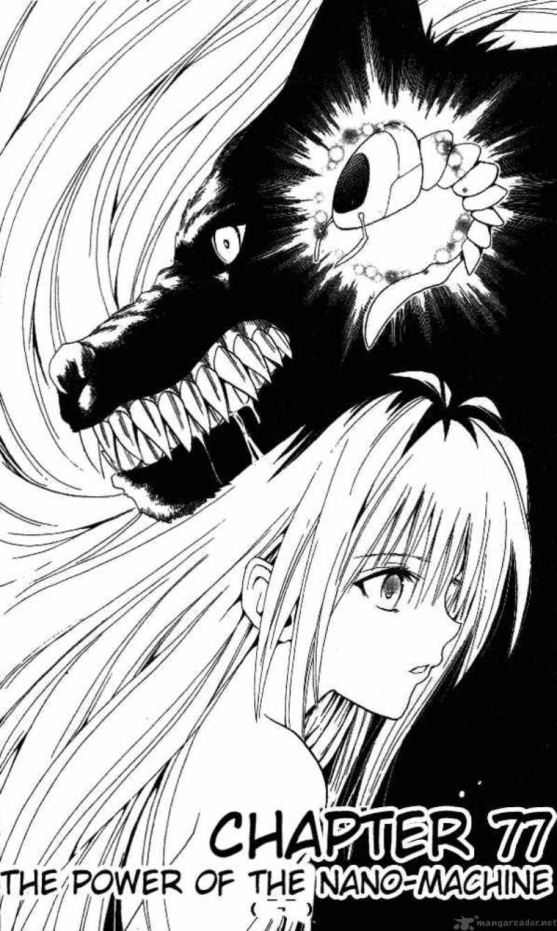 Black Cat 77 1