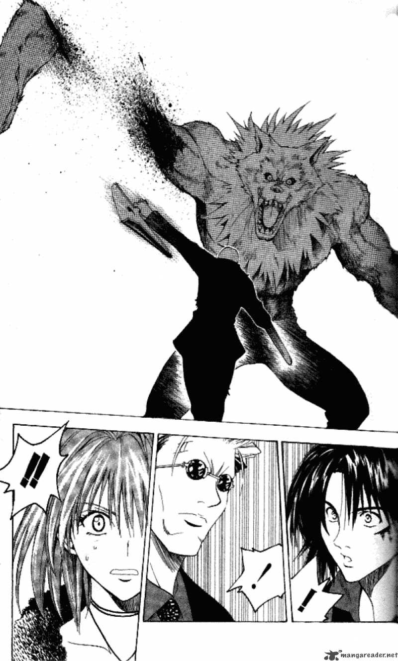Black Cat 77 16