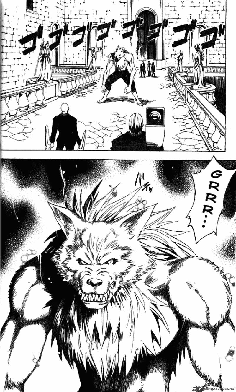 Black Cat 77 7