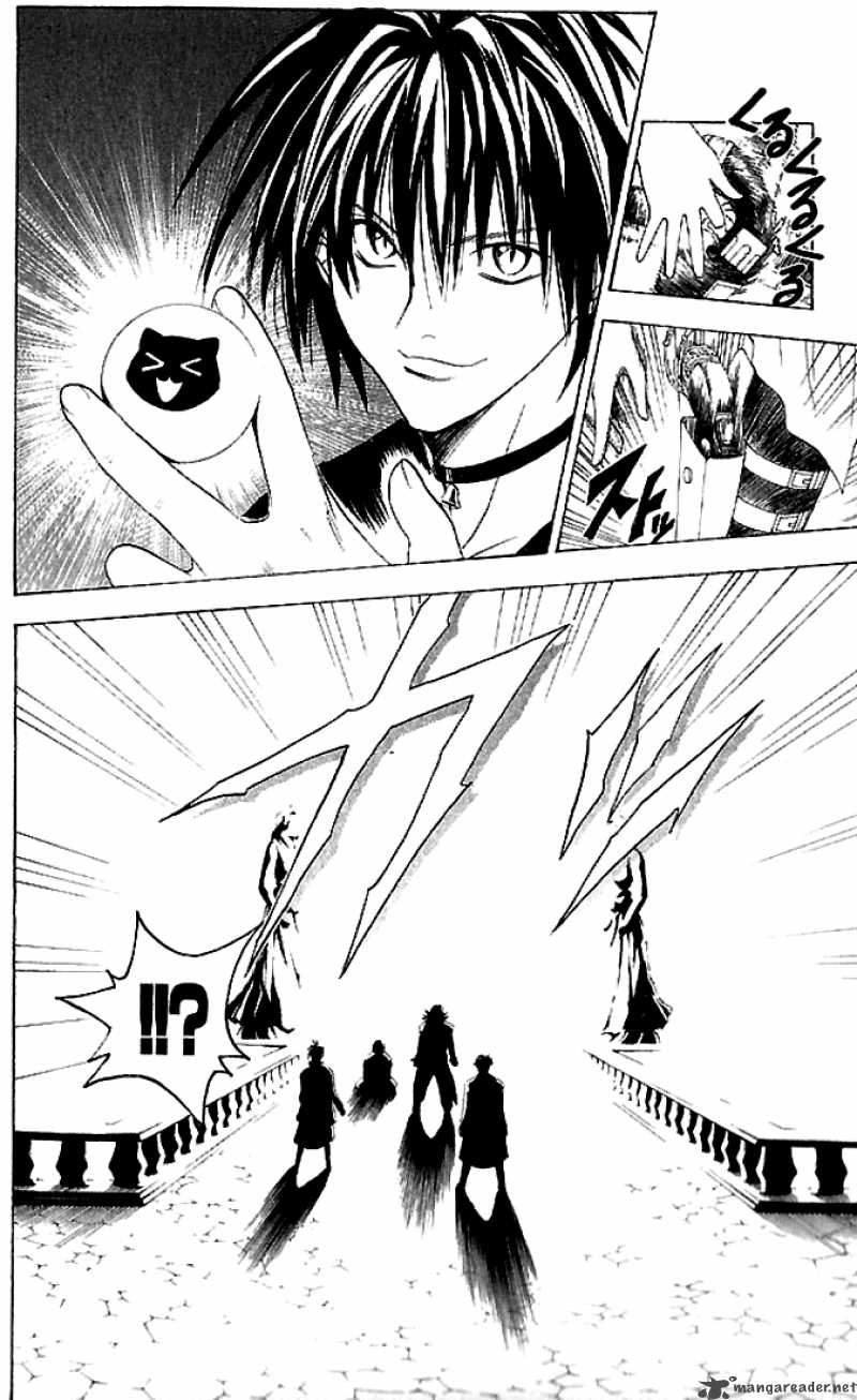 Black Cat 80 14