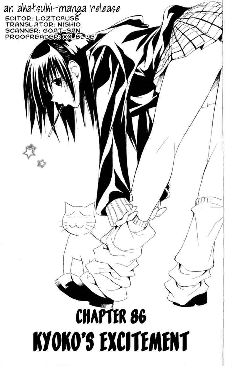 Black Cat 86 3