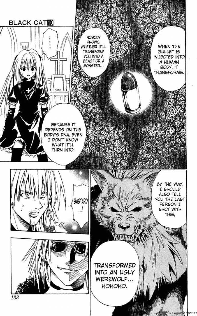 Black Cat 90 17