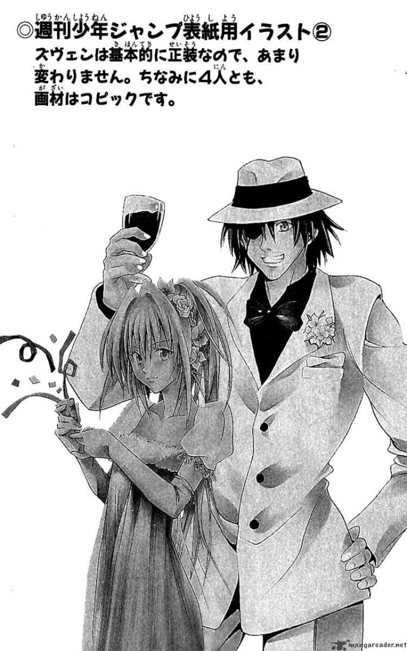 Black Cat 91 20