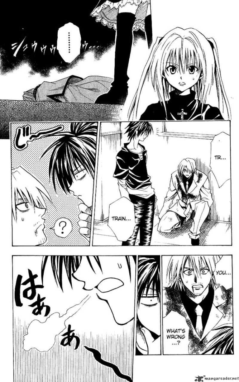 Black Cat 91 5
