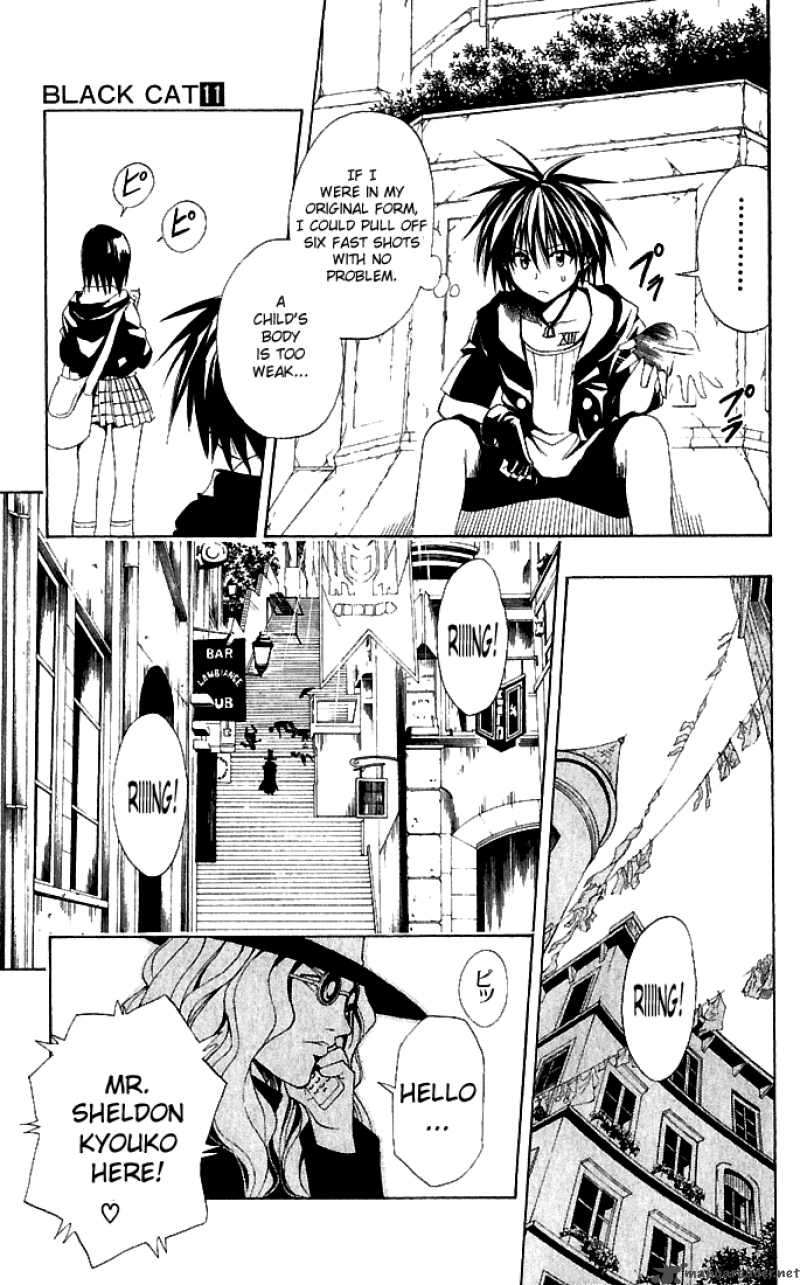 Black Cat 95 3