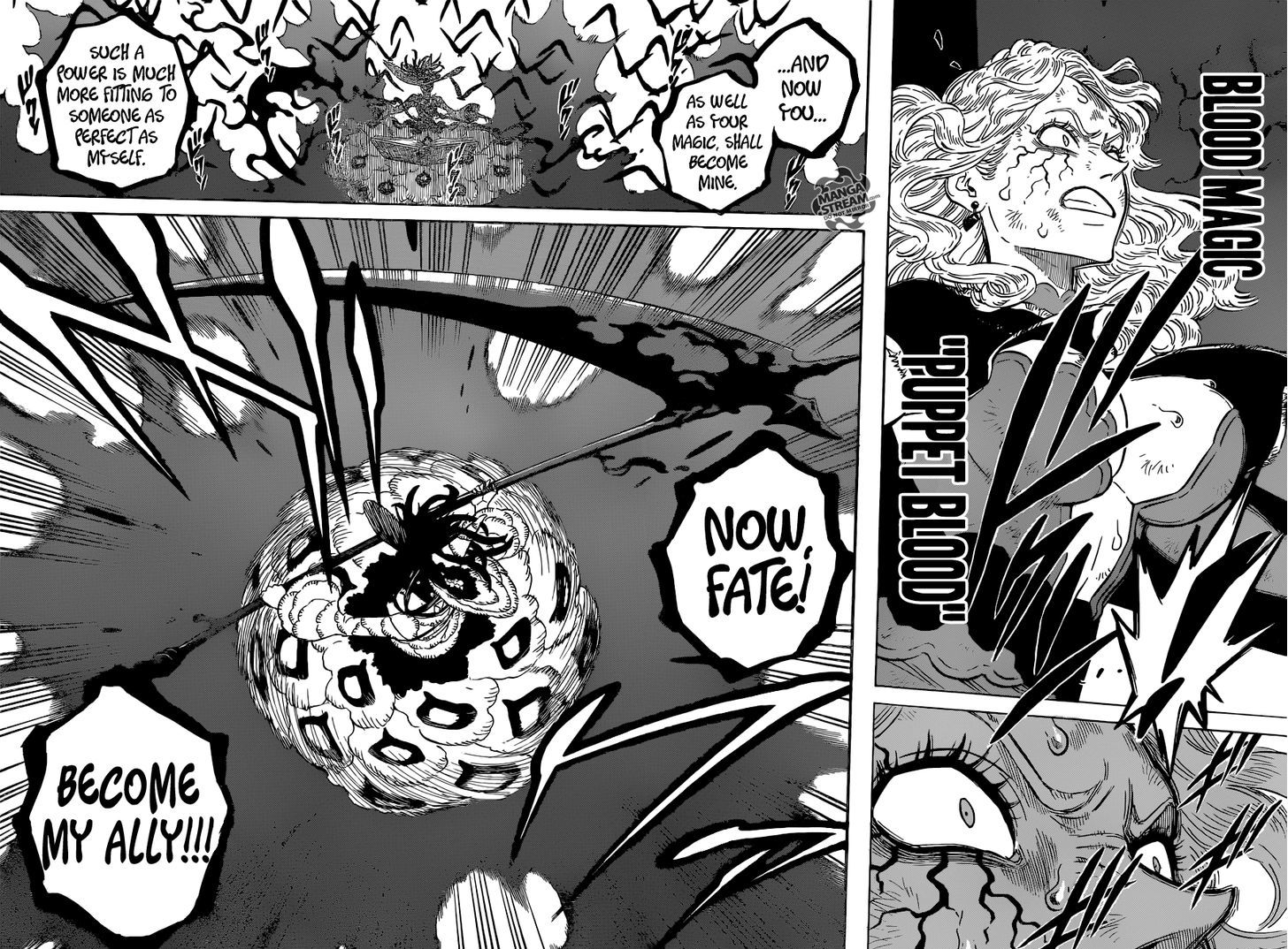 Black Clover 100 13
