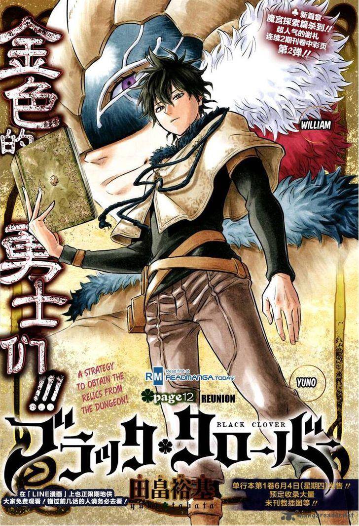Black Clover 12 1