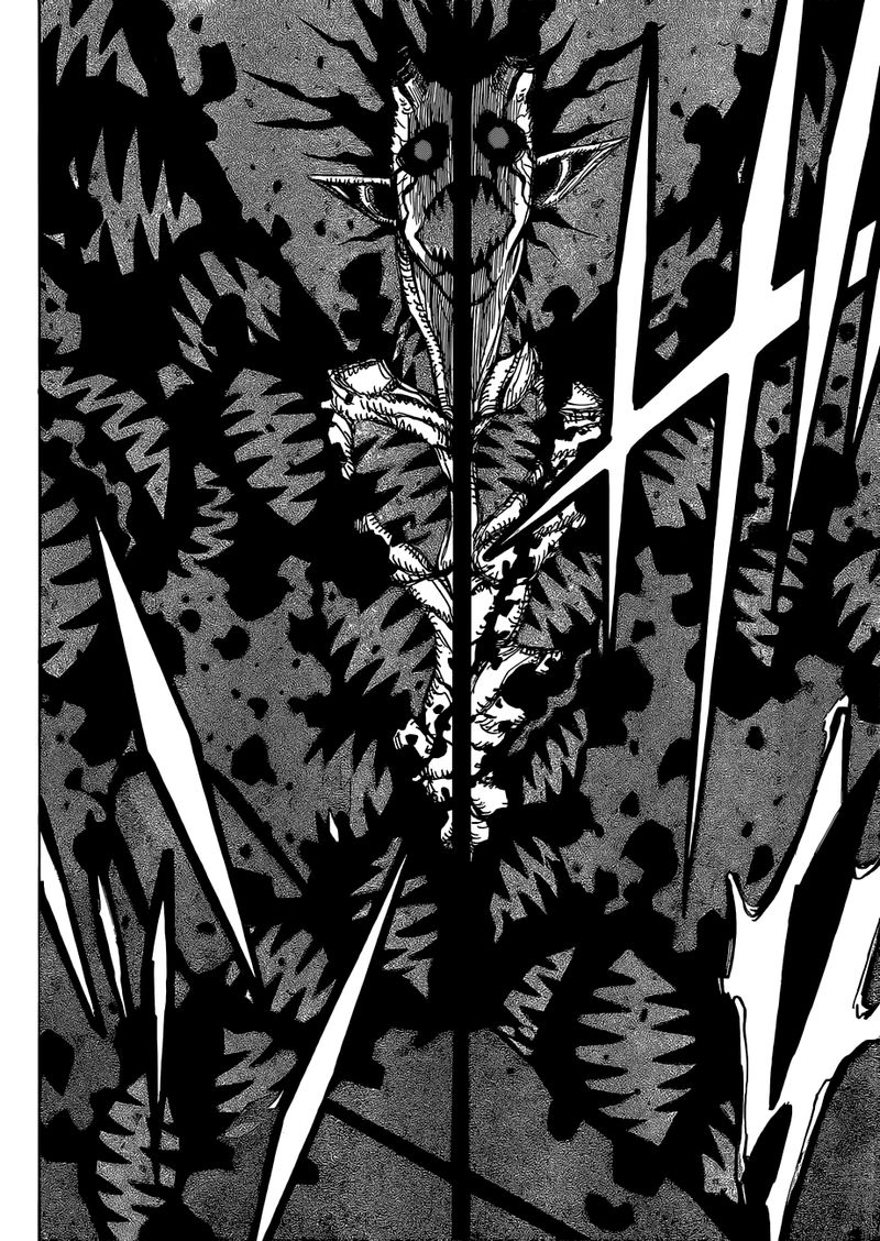Black Clover 211 14