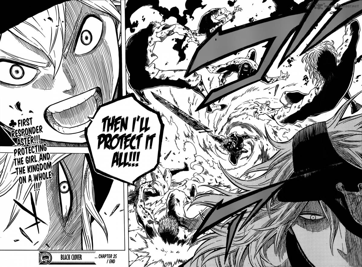 Black Clover 25 19