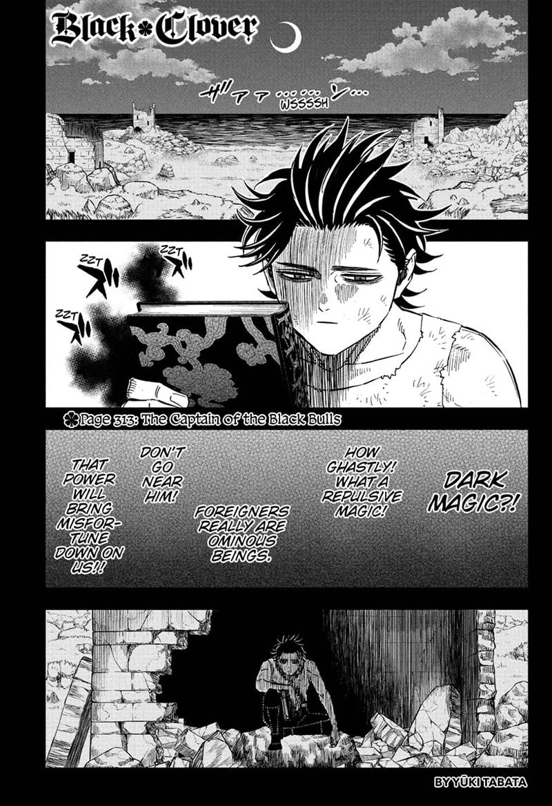 Black Clover 313 1
