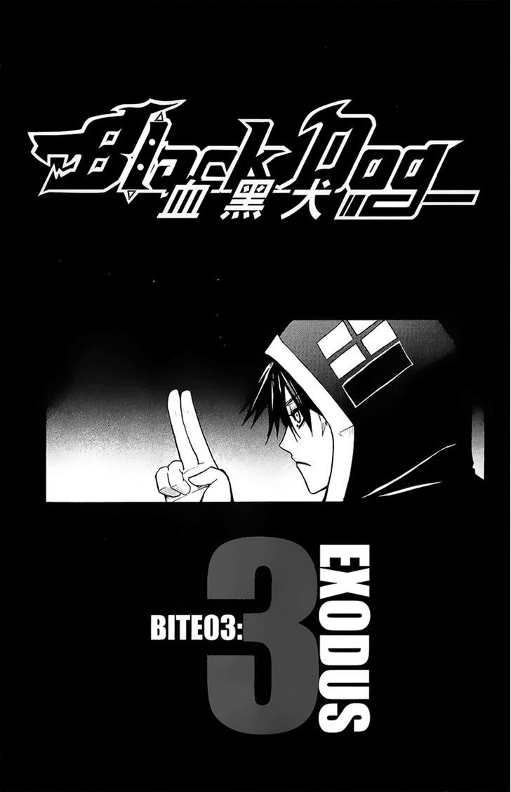 Black Dog 10 4