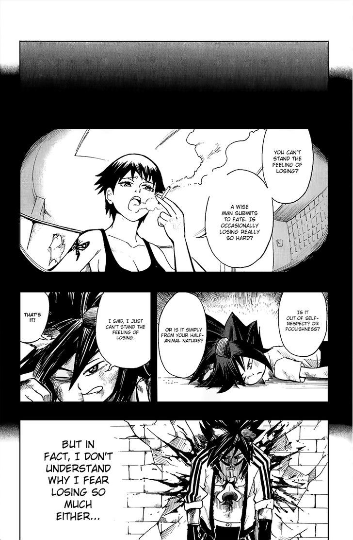 Black Dog 11 20