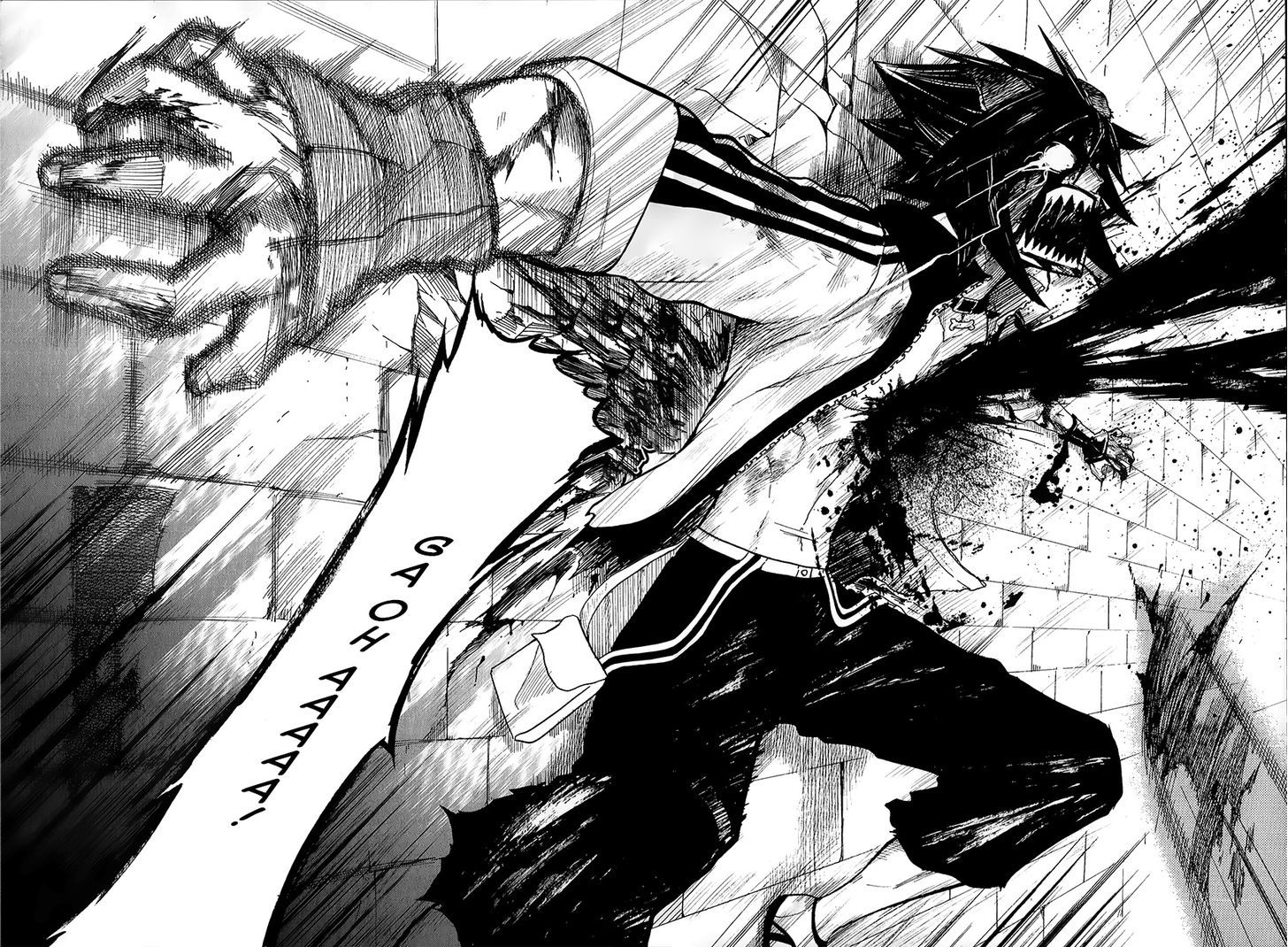 Black Dog 11 25