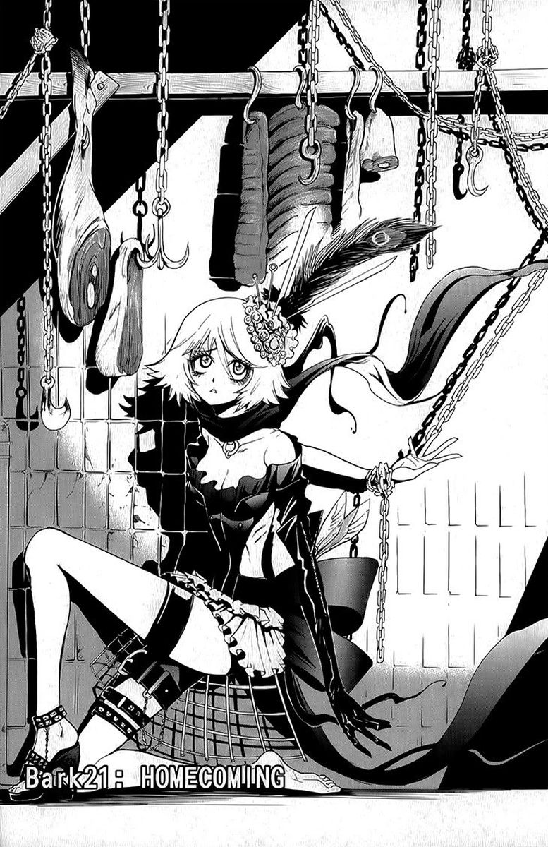 Black Dog 21 5