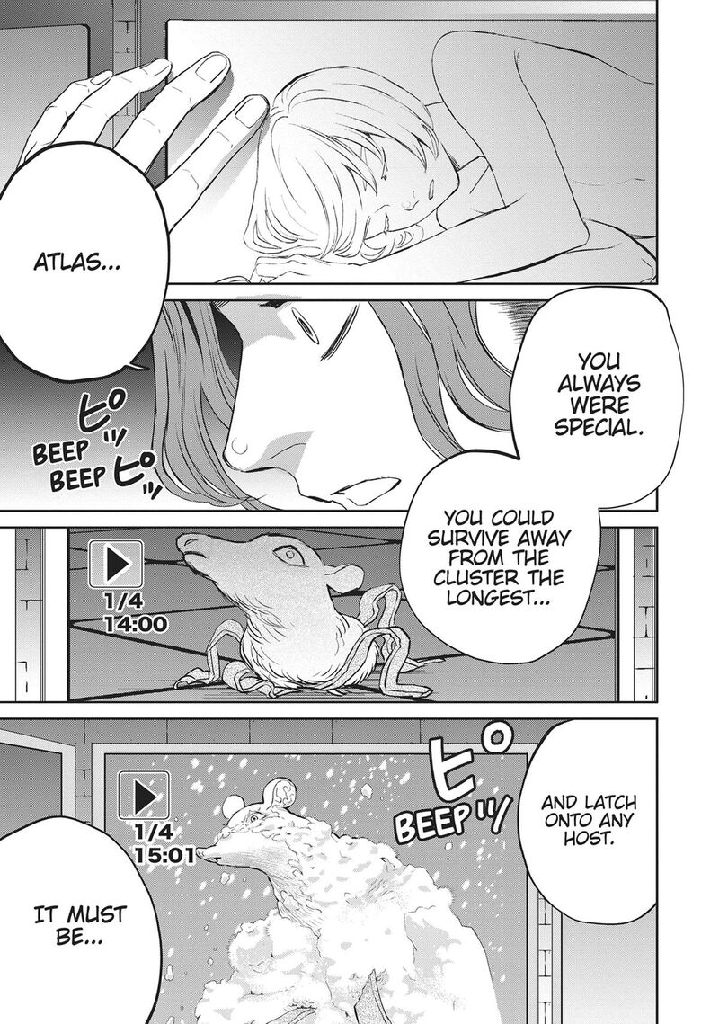 Black Night Parade 41 10