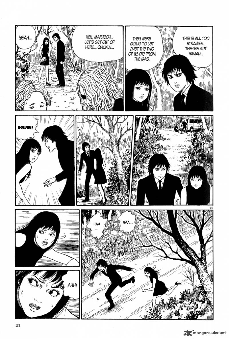 Black Paradox 1 20