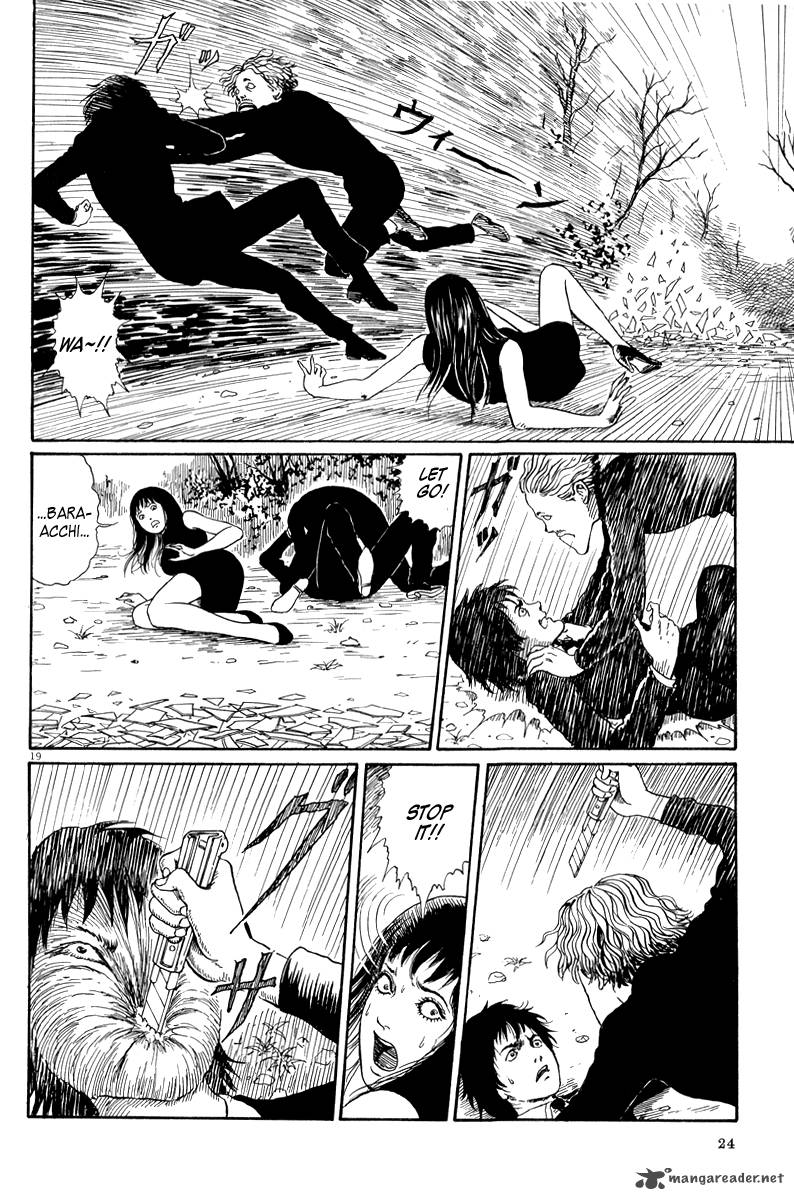 Black Paradox 1 23