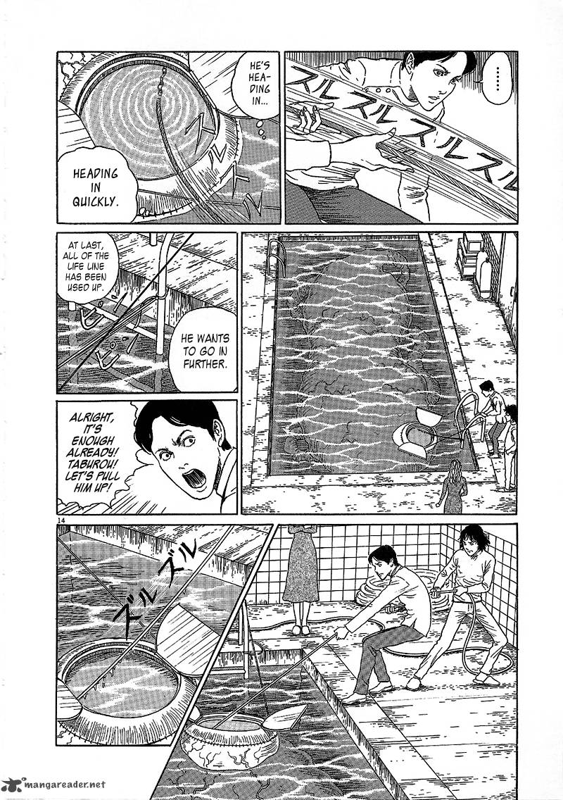 Black Paradox 5 14