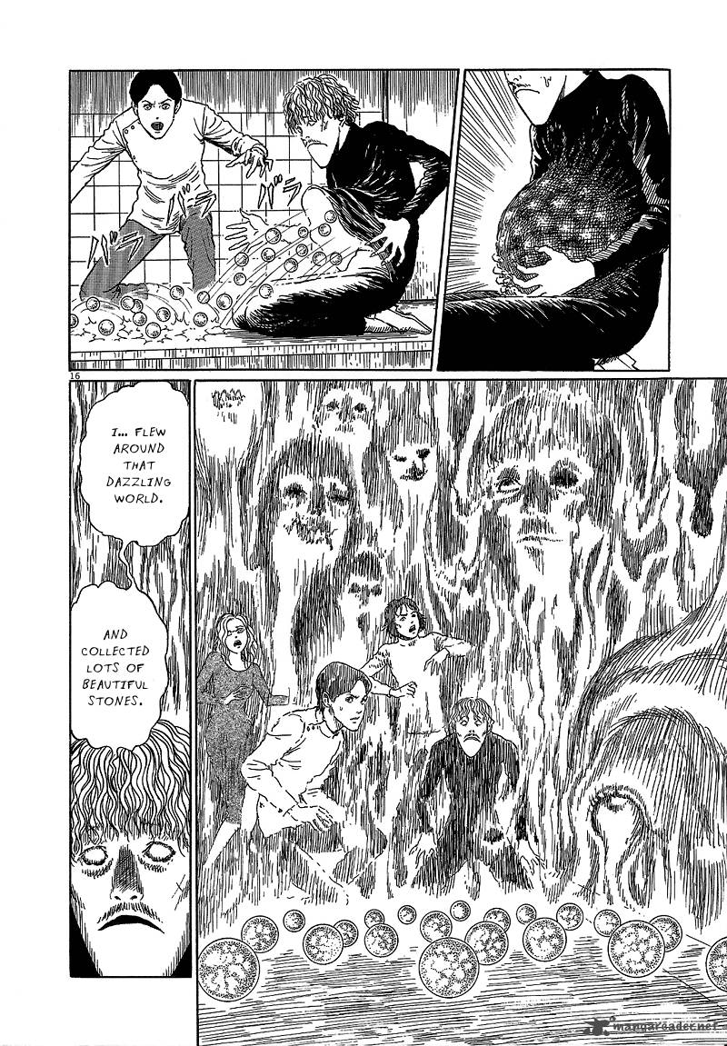Black Paradox 5 16