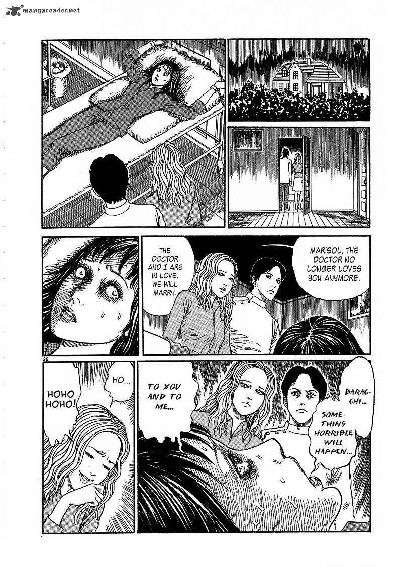 Black Paradox 5 28